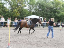 IMG_1361_web